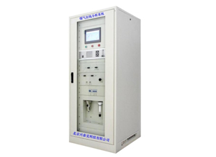 XTK-9002煤氣在線分析系統-含粉塵、高濕、有焦油